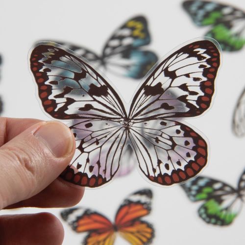 Idea-ology Tim Holtz Transparent Wings (72pcs)