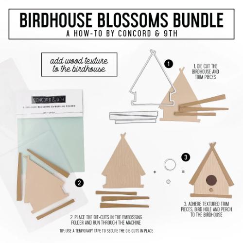 Concord & 9th - Birdhouse Blossoms Embossing Folder (2D)