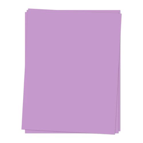 Concord & 9th - Cardstock: Aster