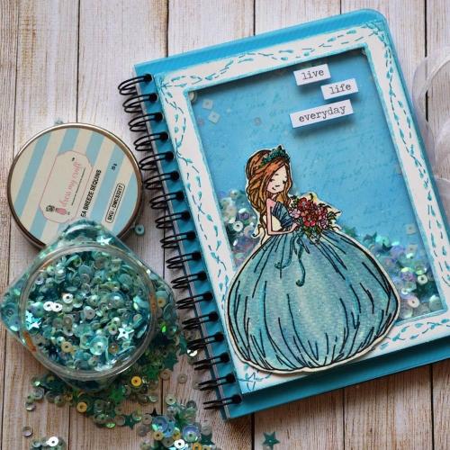 Dress My Craft - Acetate Sheets