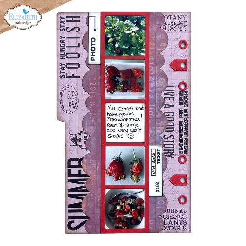 Elizabeth Craft Designs - Photoframe inlay Die Set Die Set