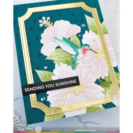 Waffle Flower - Hummingbirds Die