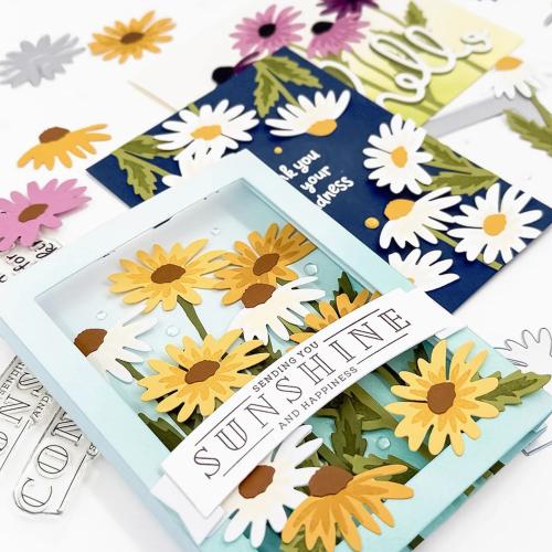 Concord & 9th - Daisy Delight Stamp Set (4 x 4) & Dies Bundle