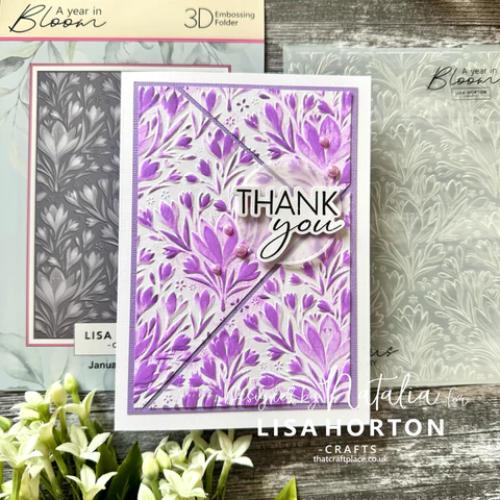 Lisa Horton Crafts 5” x 7” 3D Embossing Folders