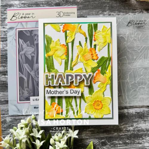 Lisa Horton Crafts 5” x 7” 3D Embossing Folders