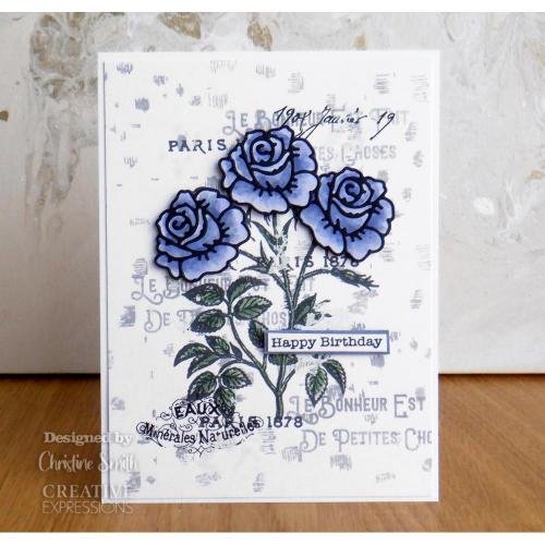 Creative Expressions Sam Poole Beautiful Garden 6 in x 8 in Clear Stamp Set