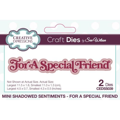 Creative Expressions Sue Wilson Mini Shadowed Sentiments For A Special Friend Craft Die (CEDSS039)