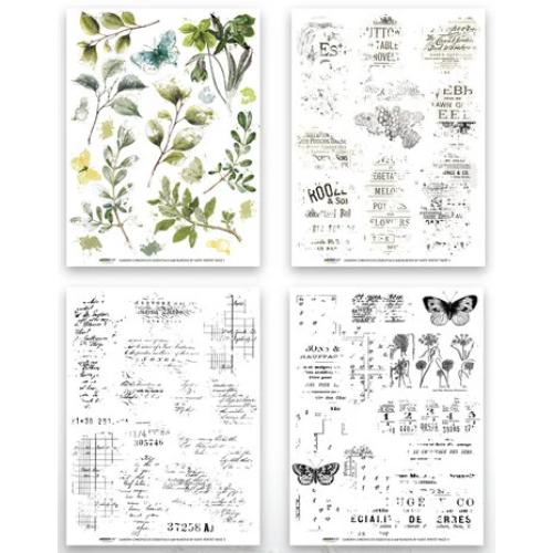 Arden Creative Studio Garden Chronicles Essentials 6x8 Inch Rub-On Transfer Set by Katie Pertiet (ACSRO0010)
