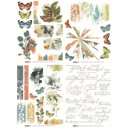 Arden Creative Studio Amber Ledgers 6x8 Inch Rub-On Transfer Set by Katie Pertiet (ACSRO0013)