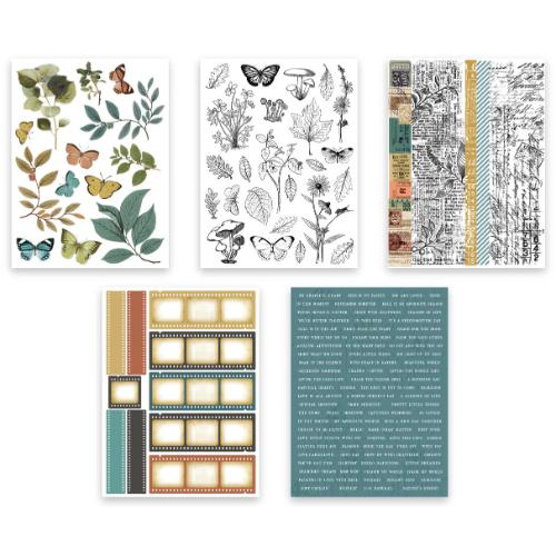 Arden Creative Studio Amber Ledgers Sticker Book by Katie Pertiet (ACSSB0003)