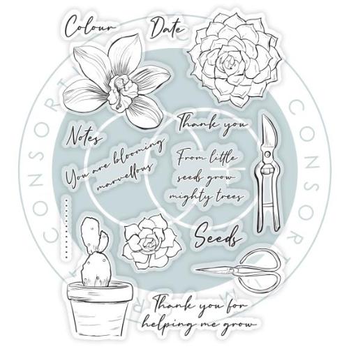Craft Consortium Clear Stamps Orchid, Botany Boutique