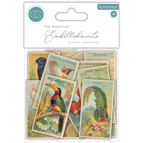 Craft Consortium The Collector Ephemera Birds (30pcs) (CEEPH002)