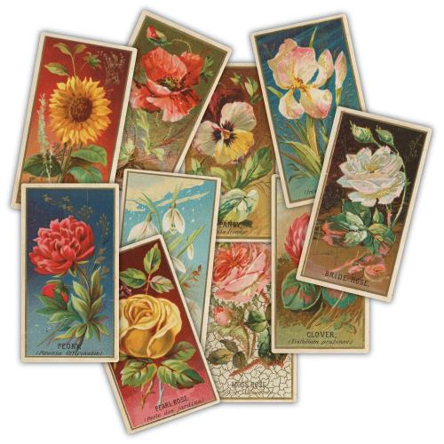 Craft Consortium The Collector Ephemera Flowers (30pcs) (CEEPH003)