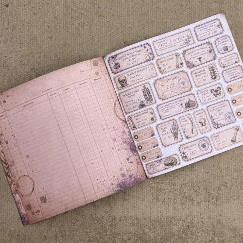 IndigoBlu The Anatomist's Cabinet 8x8 Inch Paper Book (IND1584)