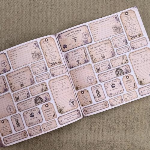 IndigoBlu The Anatomist's Cabinet 8x8 Inch Paper Book (IND1584)