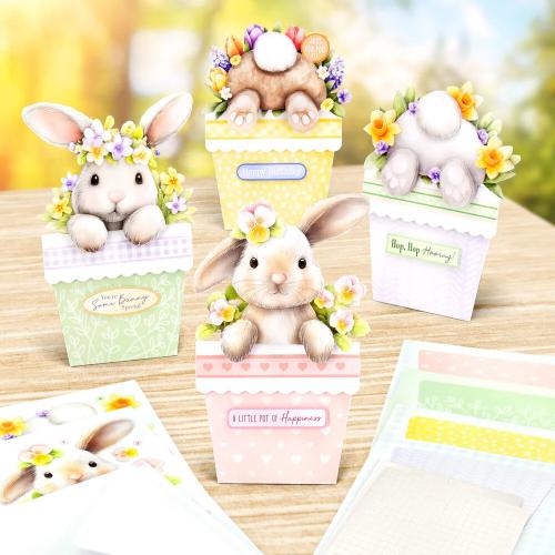Katy Sue Designs Bunny Tails & Flower Pots Card Making Kit (17-10109BFP) - Postage as per Actual