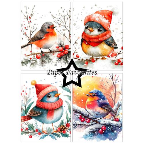 Paper Favourites Christmas Birds A6 Paper Pack (PFA629)