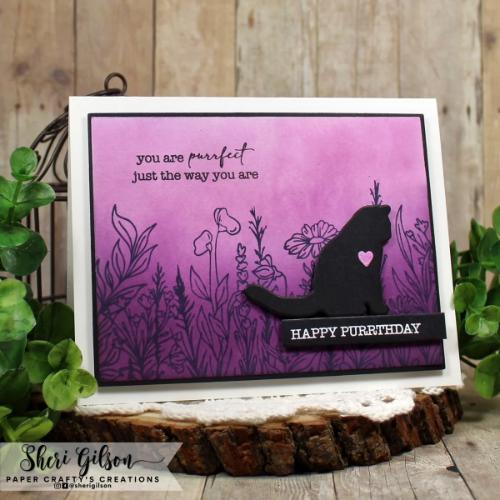 Gina K Designs - BUNDLE- Garden Kitties - Postage as per actual