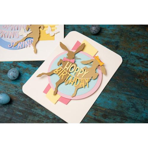 Sizzix Thinlits Dies By Tim Holtz 8/Pkg Vault Hippity Hop