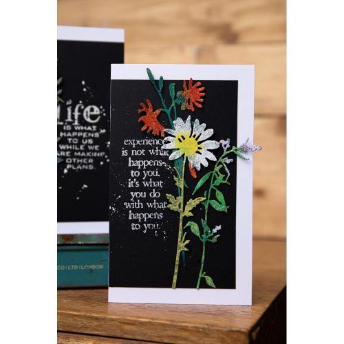 Sizzix Thinlits Dies By Tim Holtz 6/Pkg Vault Wildflowers