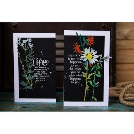 Sizzix Thinlits Dies By Tim Holtz 6/Pkg Vault Wildflowers