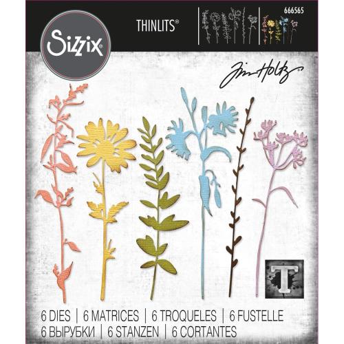 Sizzix Thinlits Dies By Tim Holtz 6/Pkg Vault Wildflowers