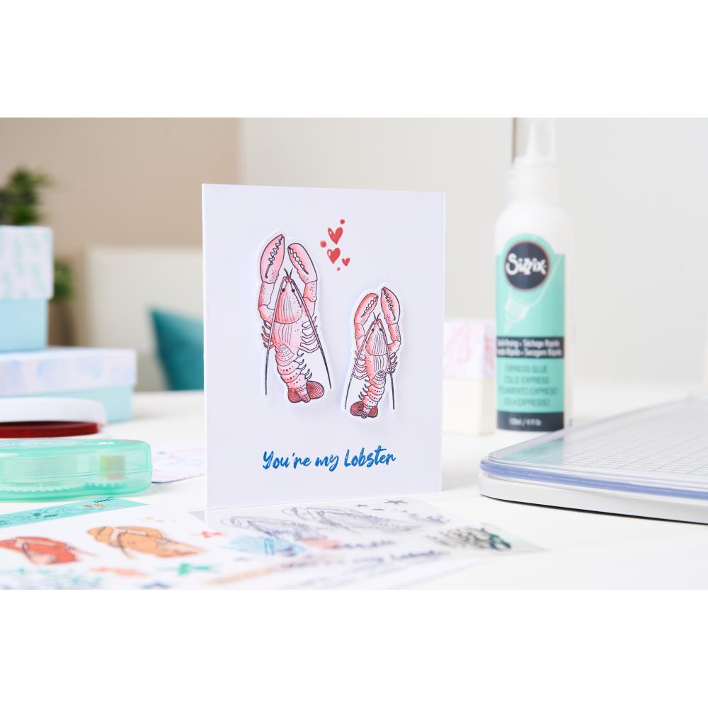 Sizzix Framelits Dies 14/Pkg You're My Lobster