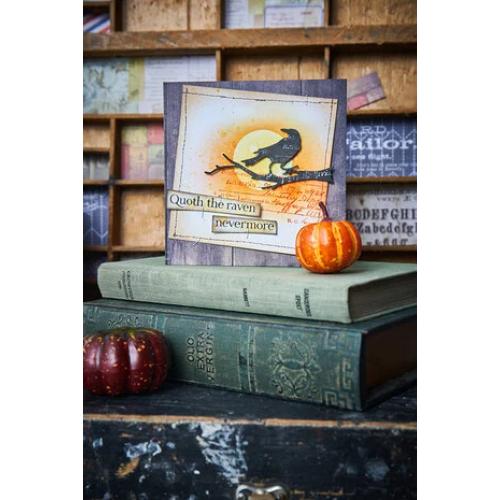 Sizzix Thinlits Die by Tim Holtz Vault Fright Night (11pcs) (666684)