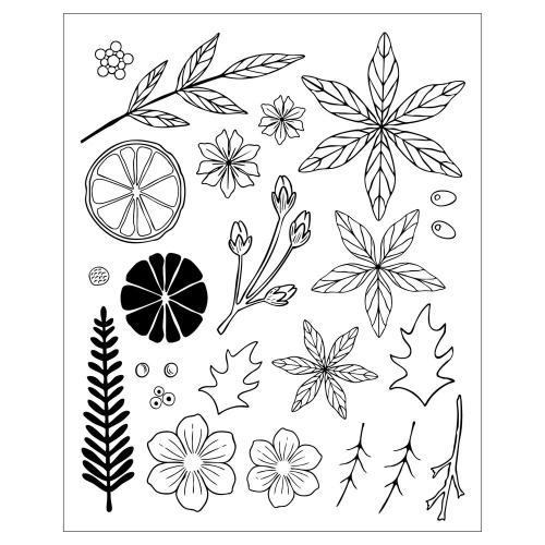 Sizzix Clear Stamps w/ Framelits Die Winter Florals by Vicki Boutin (667192)