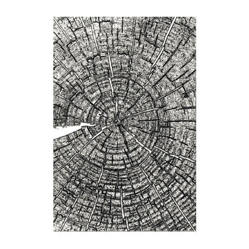 Sizzix 3D Embossing Folder A5 Tree Rings by Tim Holtz (667258)