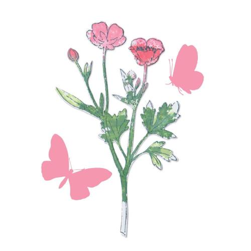 Sizzix Framelits Die w/Stamps by 49 and Market A5 Painted Pencil Botanical