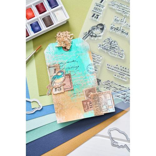 Sizzix A5 Clear Stamps with Framelits Die Bird Song by 49 and Market