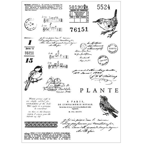 Sizzix A5 Clear Stamps with Framelits Die Bird Song by 49 and Market