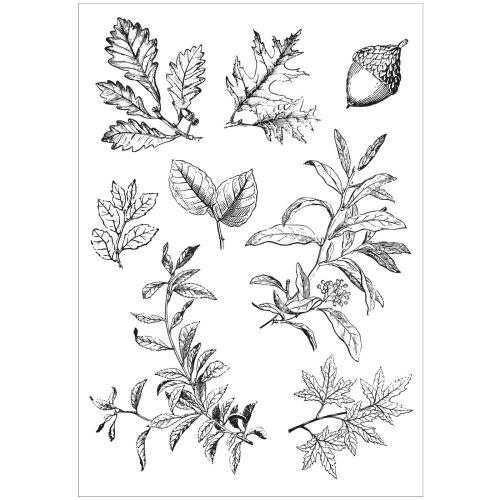 Sizzix A5 Clear Stamps with Framelits Die Forever Leaves by 49 and Market