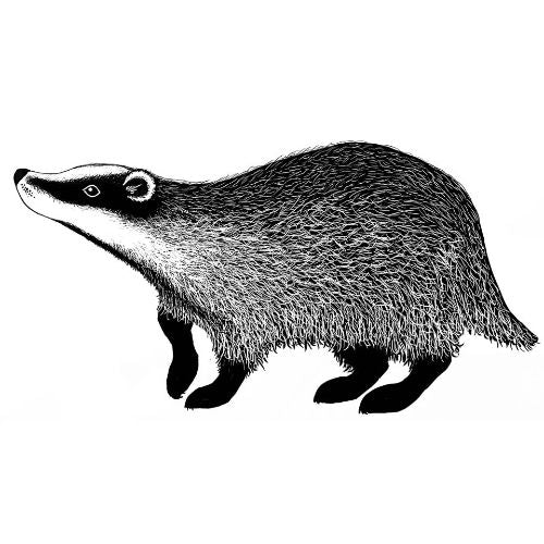Lavinia Stamps - Badger 2