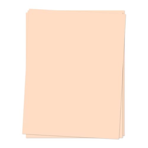 Concord & 9th - CARDSTOCK: Nectar