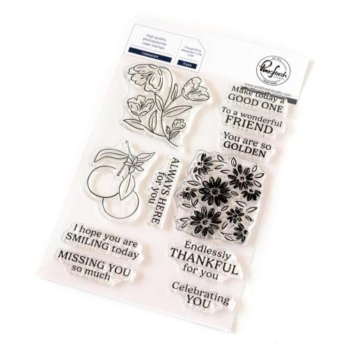 Pinkfresh Studio - Framed Art stamp