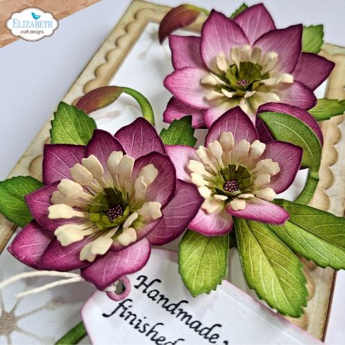 Elizabeth Craft Designs Beautiful Blooms Die Lenten Rose by Paper Flowers (2347)