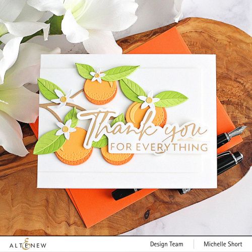 Altenew - Encouraging Sentiments - Complete Bundle - Postage as per Actual