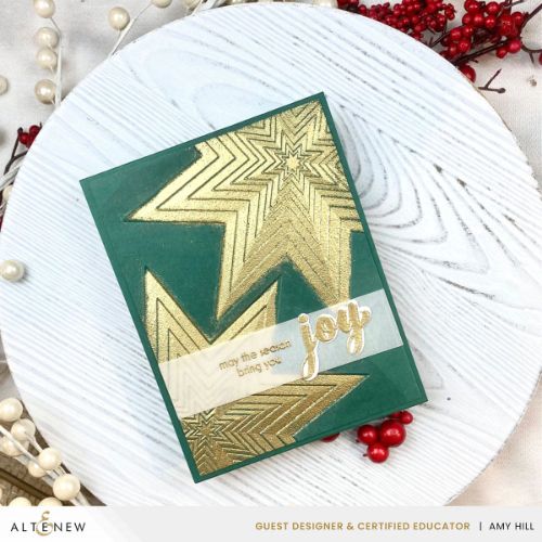 Altenew - Stellar Cascade 3D Embossing Folder