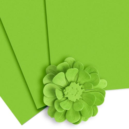 Altenew - Crafty Necessities: Parrot Cardstock (10 sheets/set)
