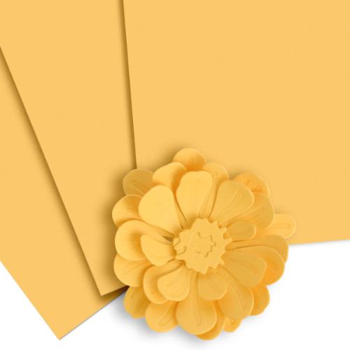 Altenew - Crafty Necessities: Warm Sunshine Cardstock (10 sheets/set)