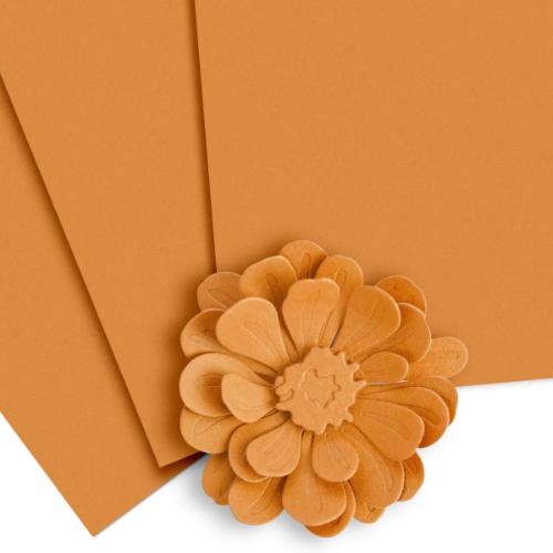 Altenew - Crafty Necessities: Caramel Toffee Cardstock (10 sheets/set)