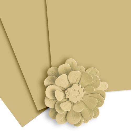 Altenew - Crafty Necessities: Marshland Cardstock (10 sheets/set)
