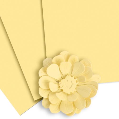 Altenew - Crafty Necessities: Buttercream Cardstock (10 sheets/set)