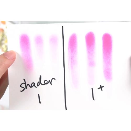 Waffle Flower - Shader Brush 1+ - 5/ pk