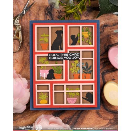 Waffle Flower - Postage Collage Windowsill Plants Die