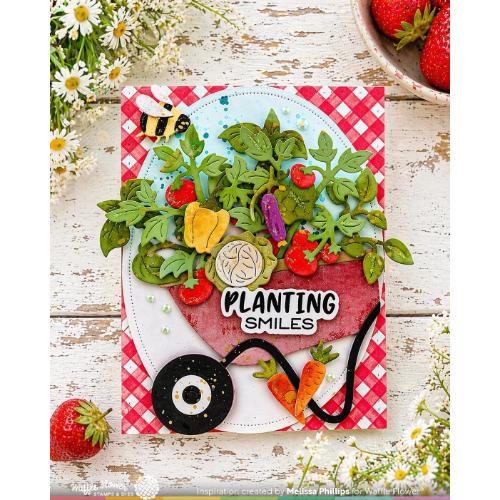Waffle Flower - Pots and Plants Die