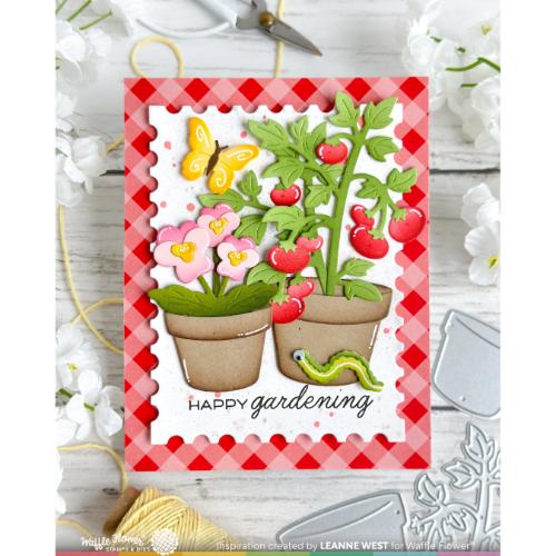 Waffle Flower - Pots and Plants Die