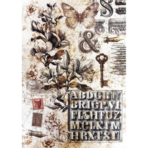 Ciao Bella Typographic A4 Deluxe Paper Pearl Copper & Vellum Dual Pack Mixed (6pcs) (CBX008)